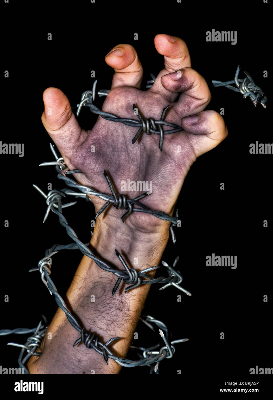 dirty hand grabbing a barbed wire on black background Stock Photo