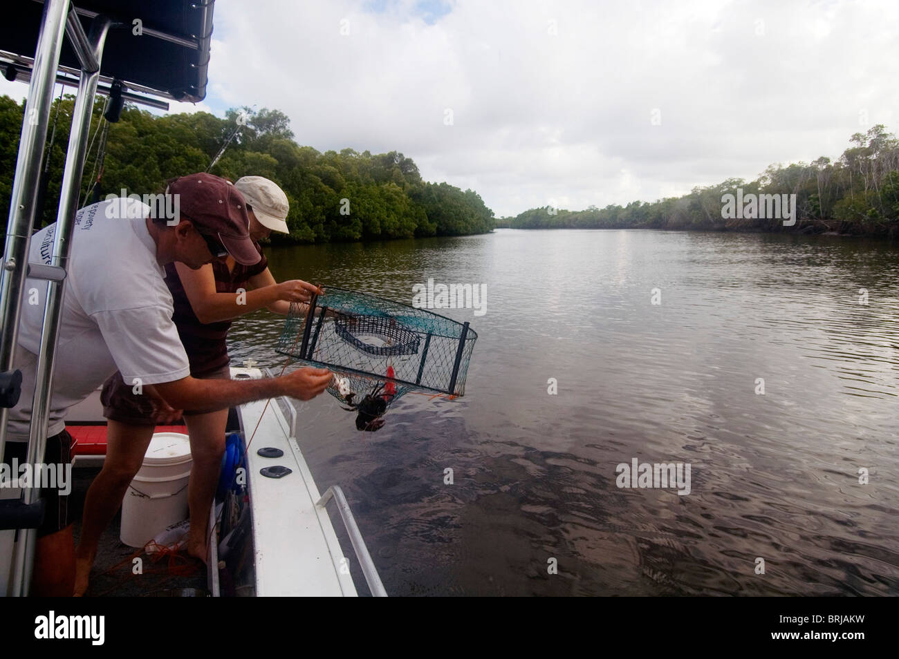 Releasing undersized mudcrab from pot over side of boat, Hull River, north Queensland. No MR or PR Stock Photo