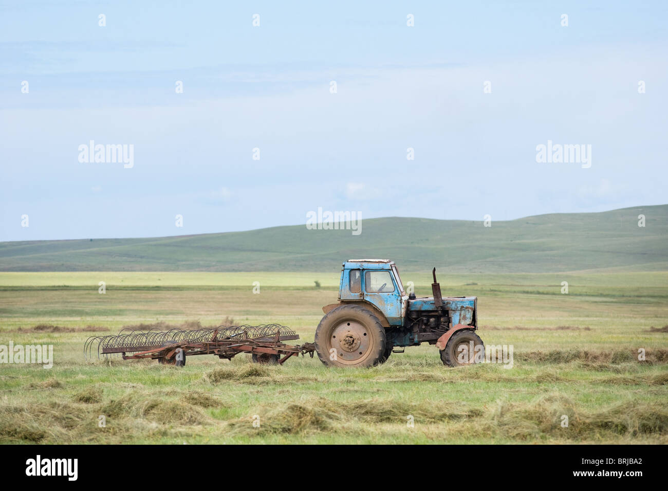 Hay toss hi-res stock photography and images - Alamy