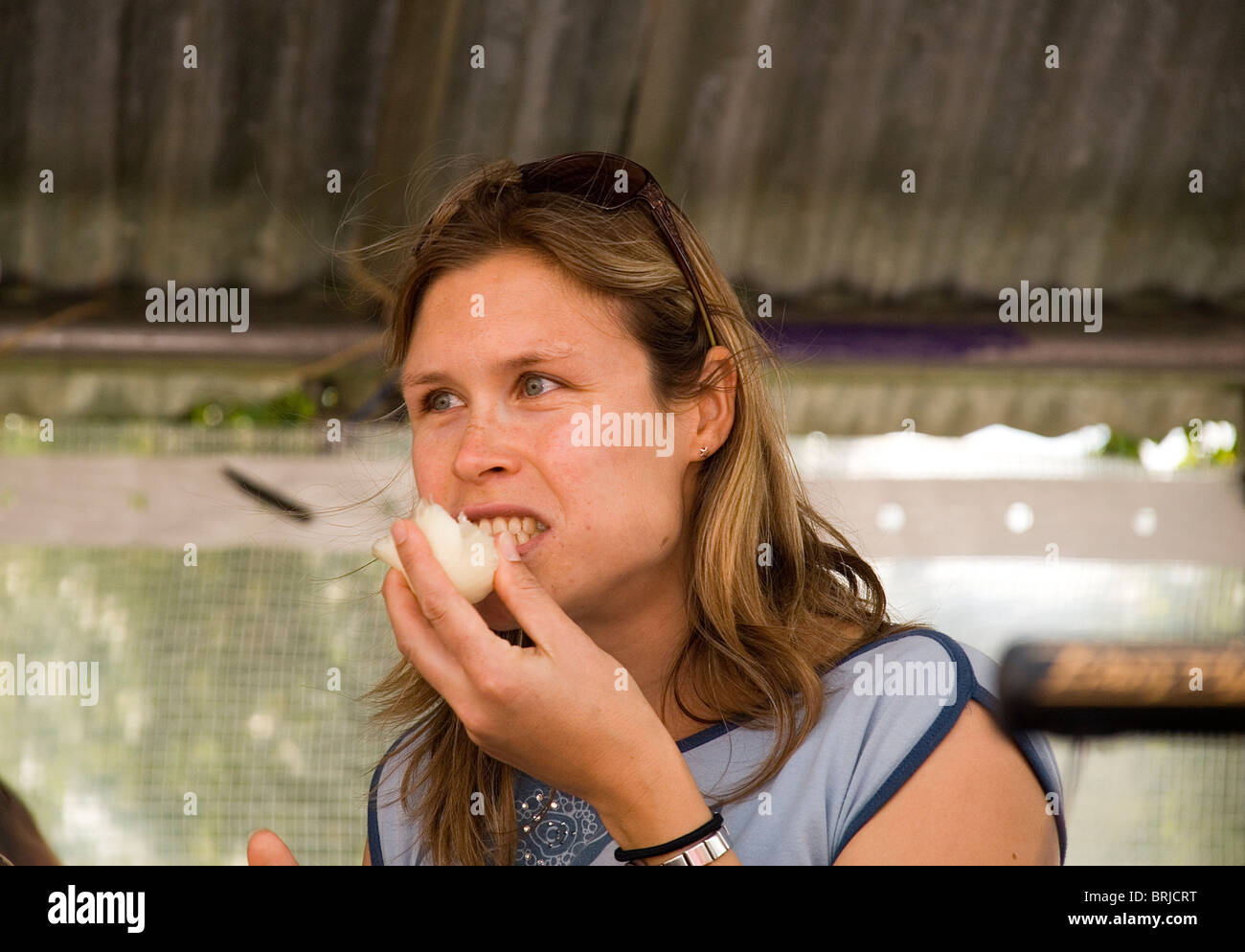 Onion eating competition at the Newent onion fayre Gloucestershire