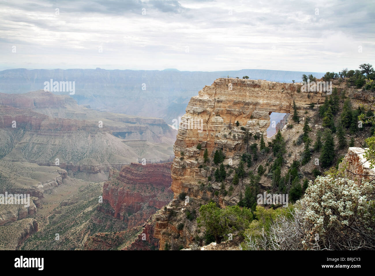 Angels Window, Cape Royal, Grand Canyon North Rim, Arizona, USA Stock Photo