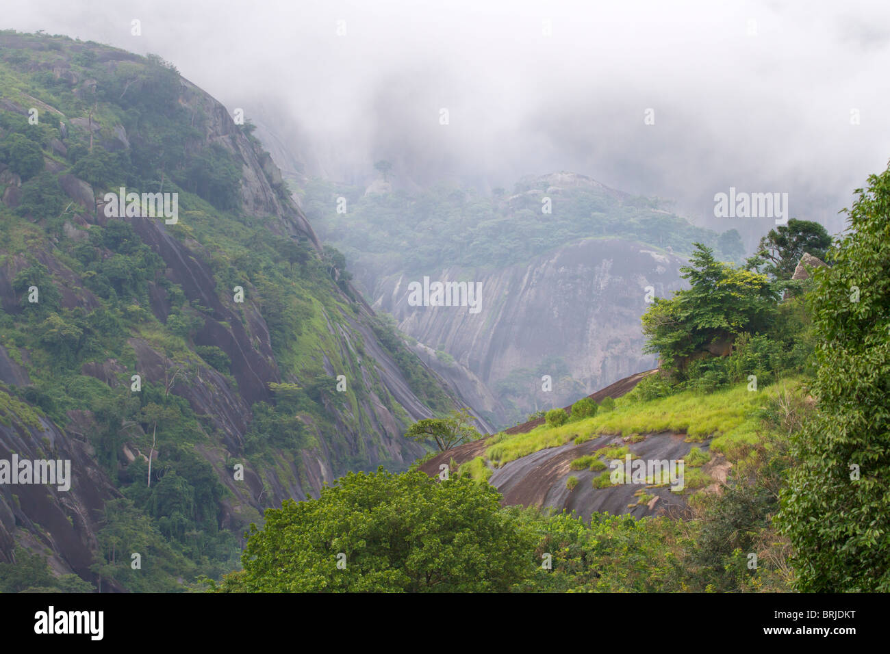 A mountain rain forest, Idanre, Ondo state, Nigeria. Stock Photo