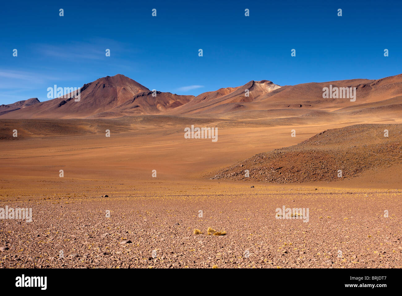 Eduardo Avaroa National Park: Desert Ladies Valley Stock Photo