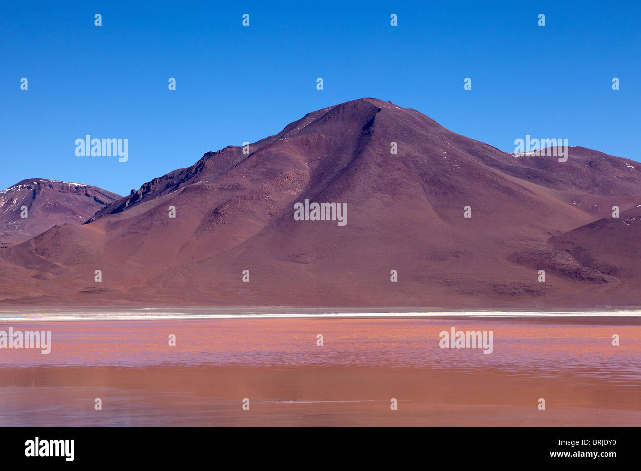 Eduardo Avaroa National Park: Laguna Colorado Stock Photo - Alamy