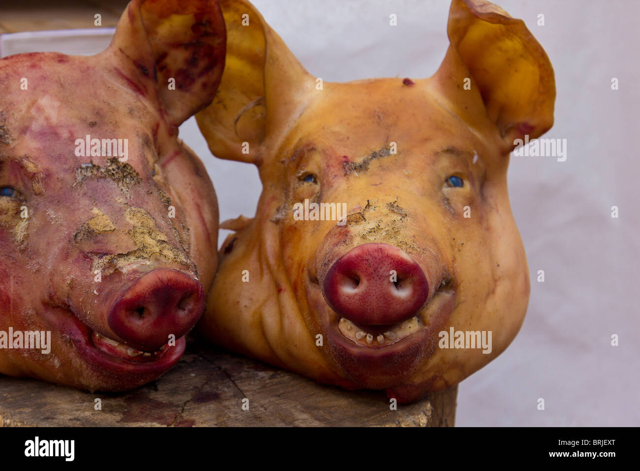 barbecue bbq pig head Stock Photo Alamy