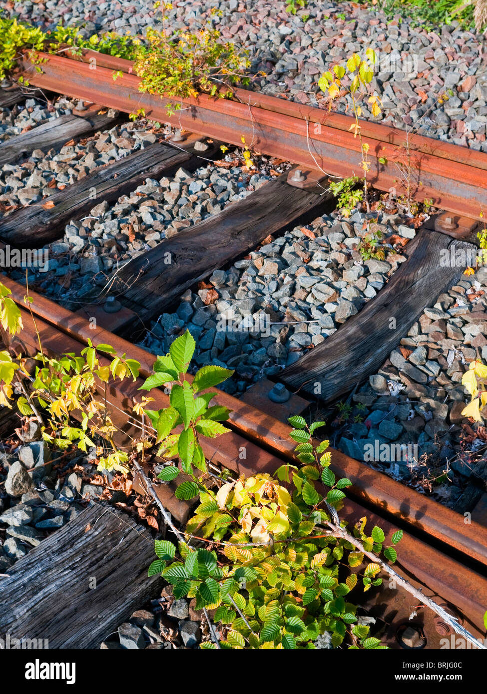 The end of the line / disused railway track - France. Stock Photo