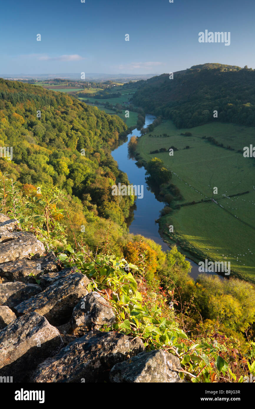 A crisp, clear autumn morning over the River Wye as seen from Symond's Yat in Gloucestershire Stock Photo