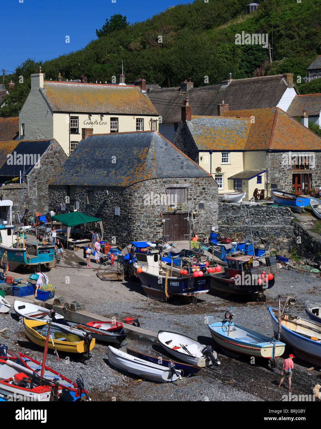 Cadgwith Cove, Cornwall, England Stock Photo Alamy