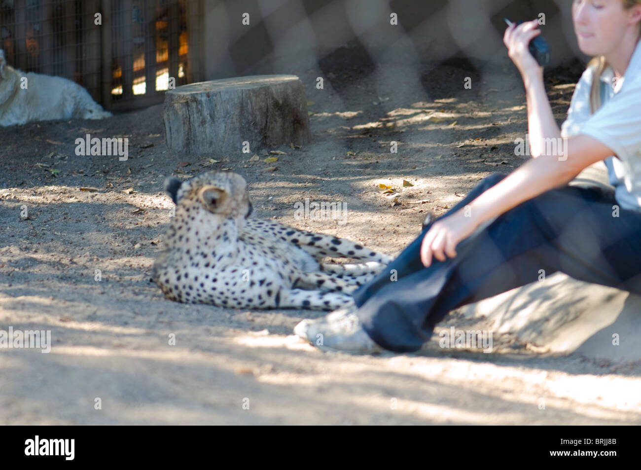 Zoo worker hires stock photography and images Alamy