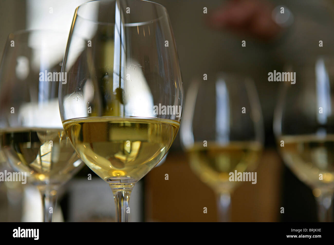 Glasses of white wine Stock Photo