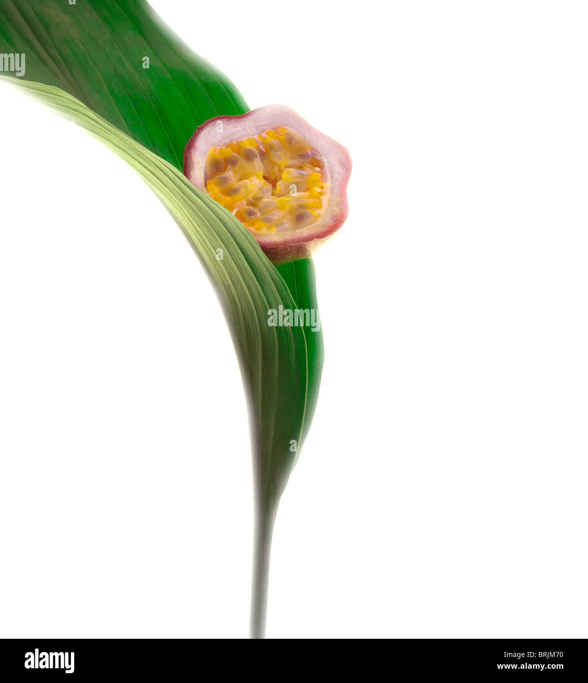 Half Passion Fruit High Resolution Stock Photography and Images - Alamy