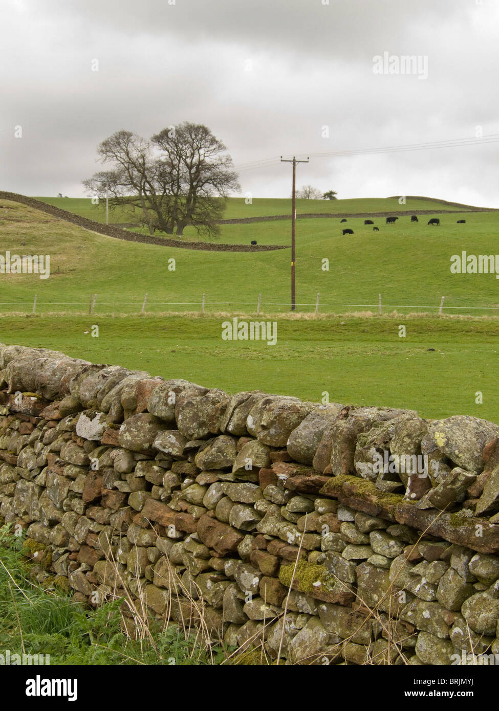 Kirkton dumfries hires stock photography and images Alamy