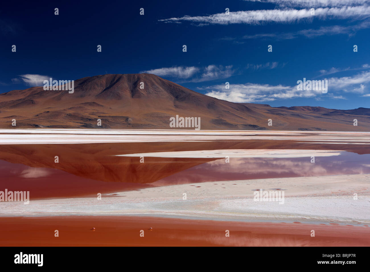 Laguna Colorada, Eduardo Avaroa Andean Fauna National Reserve, Bolivia