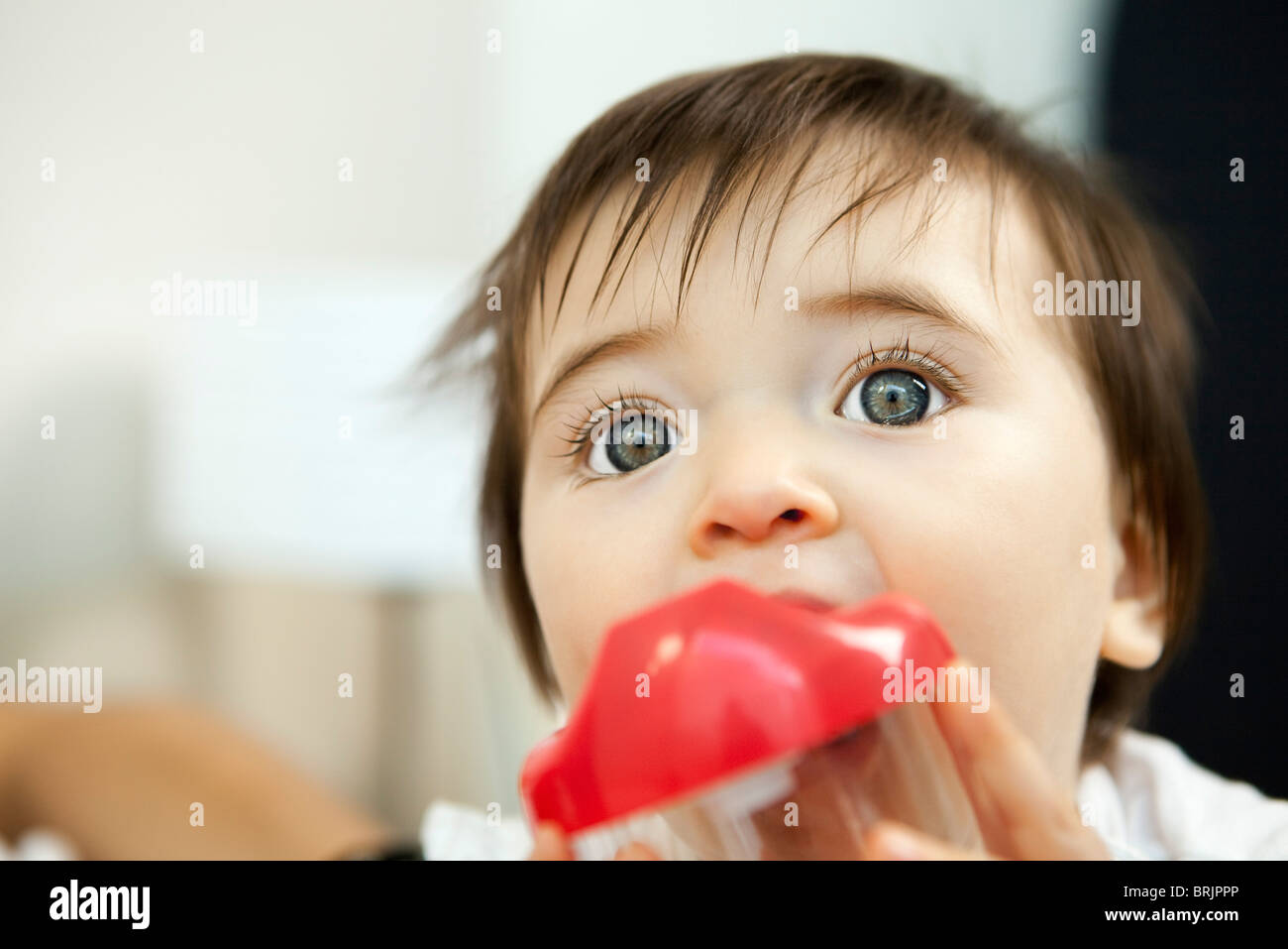 Does chewing on plastic italianropotq