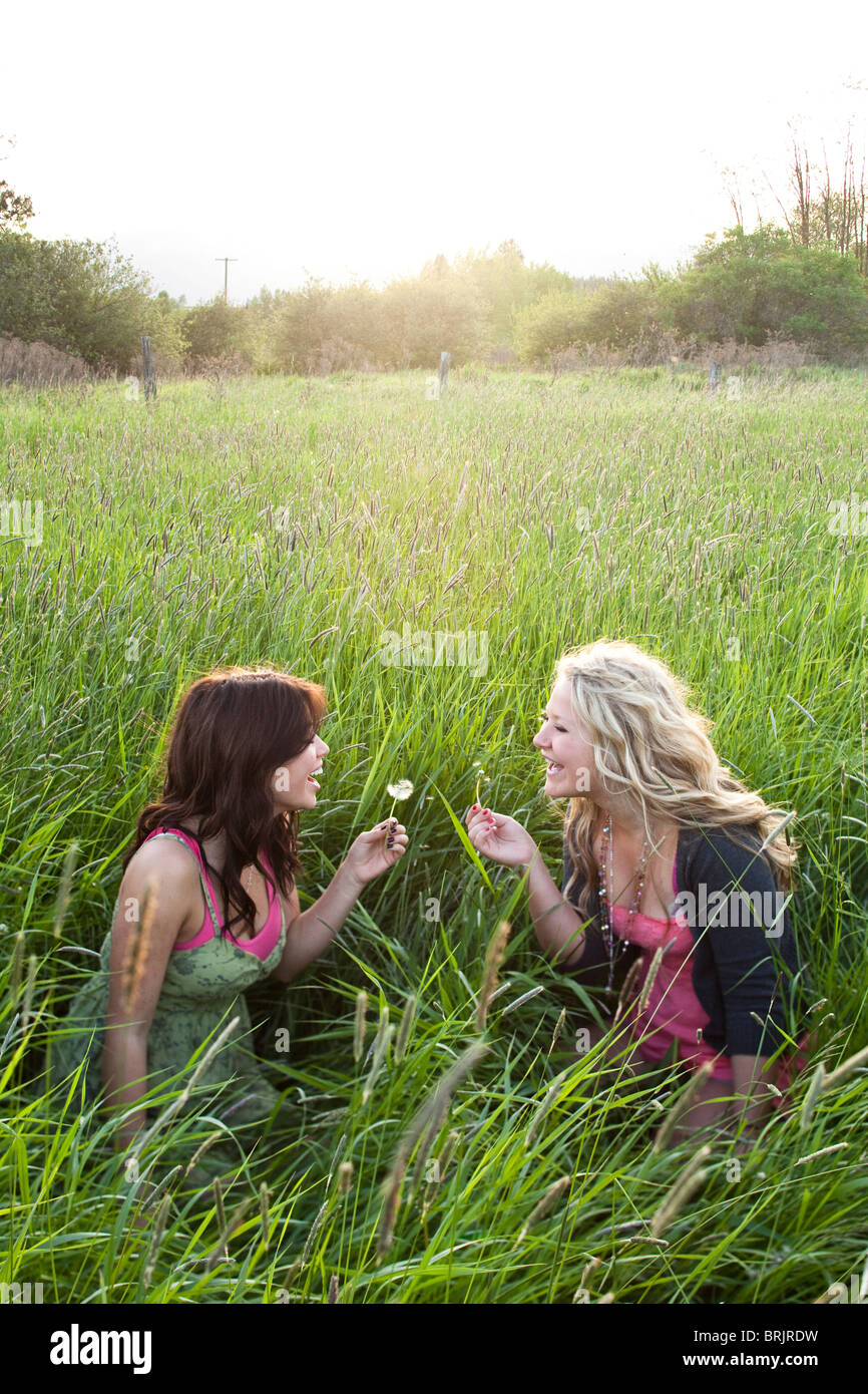 Girls sit and blow on dandelions in a grassy field in Sandpoint, Idaho ...