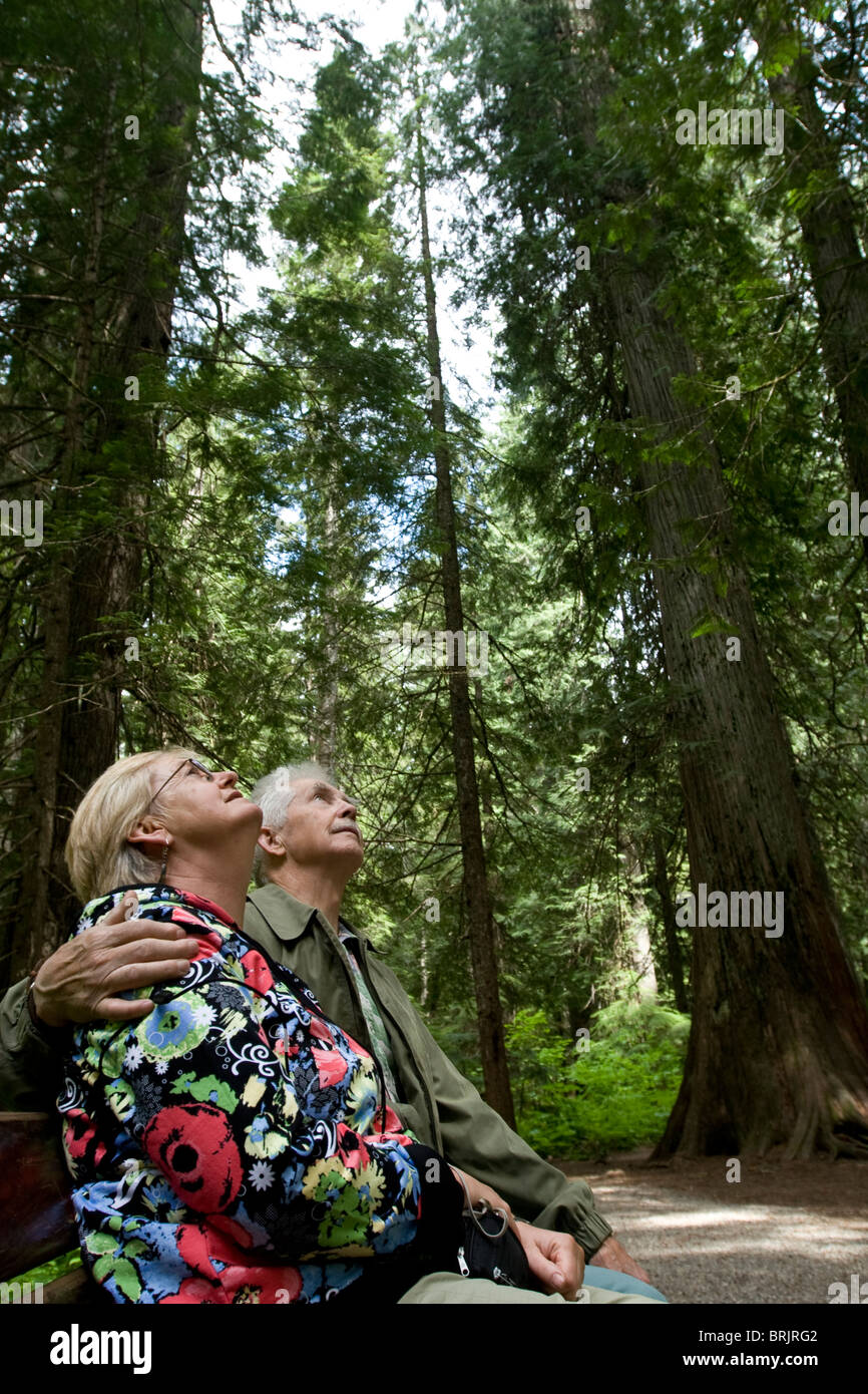 Retired couple sitting under giant trees in Montana Stock Photo Alamy