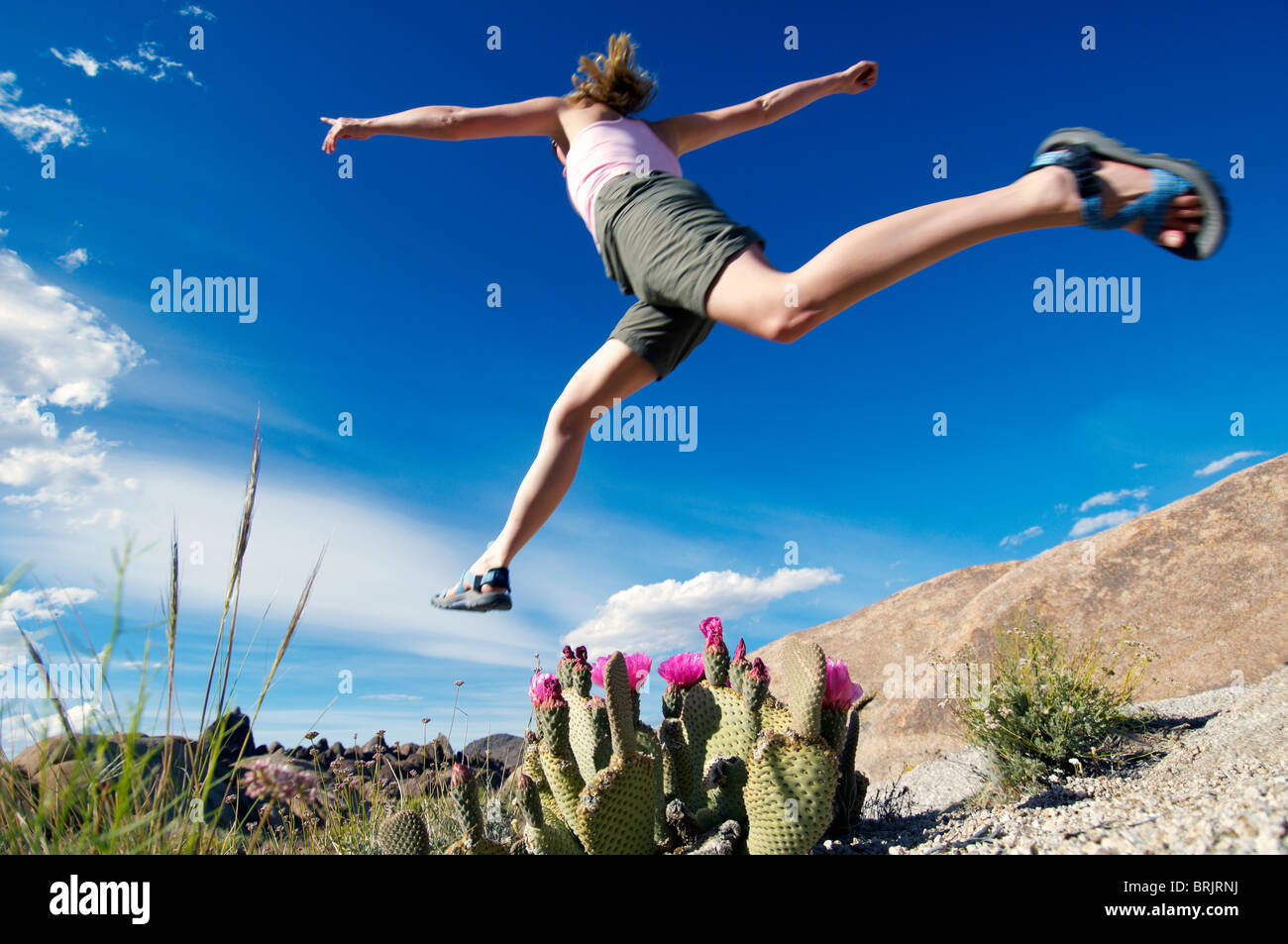 A woman jumping across a patch of cactus at the Alabama Hills above Lone Pine in California. Stock Photo