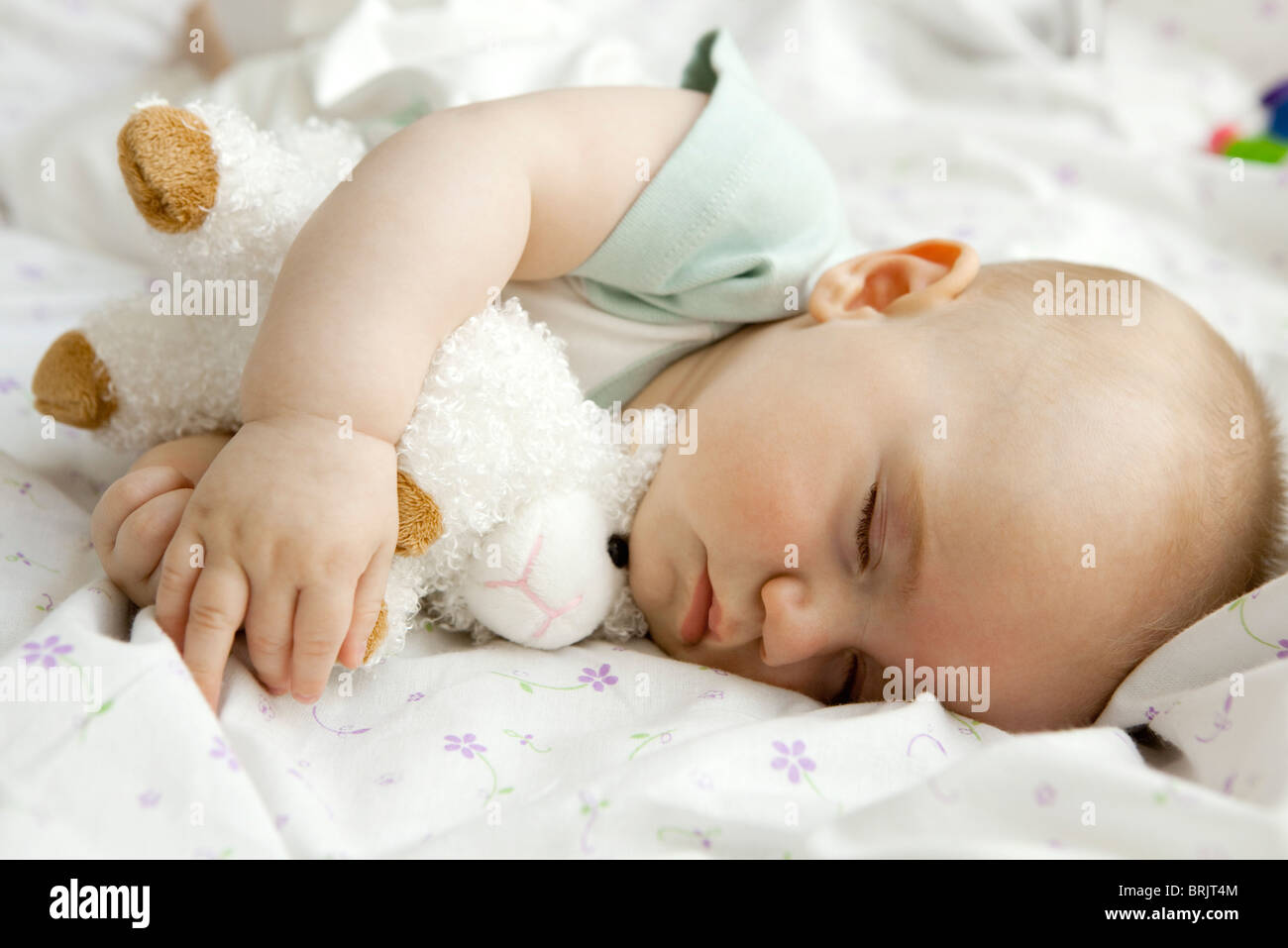 Infant sleeping with stuffed toy Stock Photo Alamy