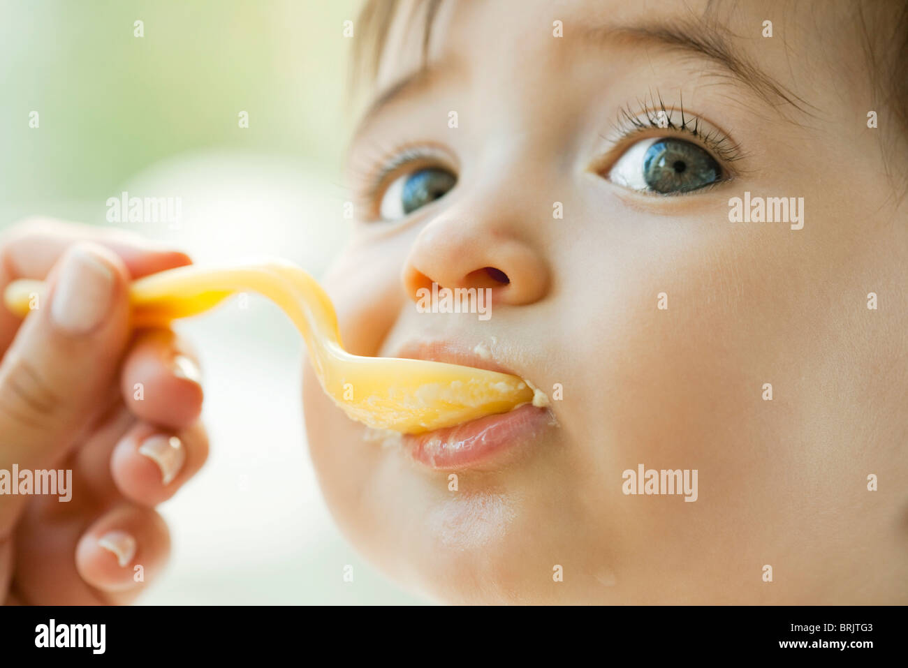 Infant being fed with a spoon Stock Photo
