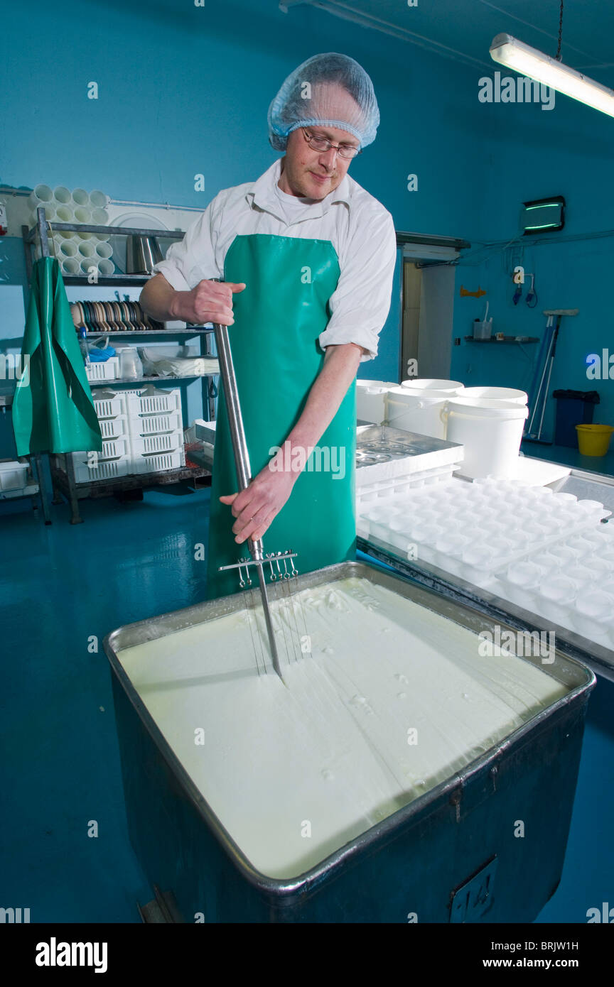 Goats Cheese maker splitting the curds and whey, White Lake Cheese, Bagborough Farm, Somerset, England. Stock Photo