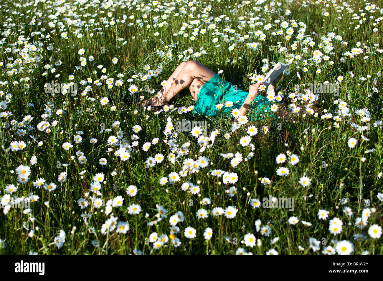 A young woman enjoys a quite moment reading a book in a field of wildflowers in Idaho. Stock Photo