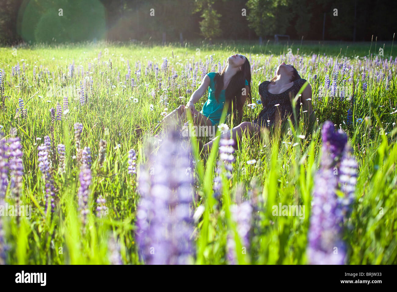 Two young women sit in a huge field of wildflowers at sunset. Stock Photo