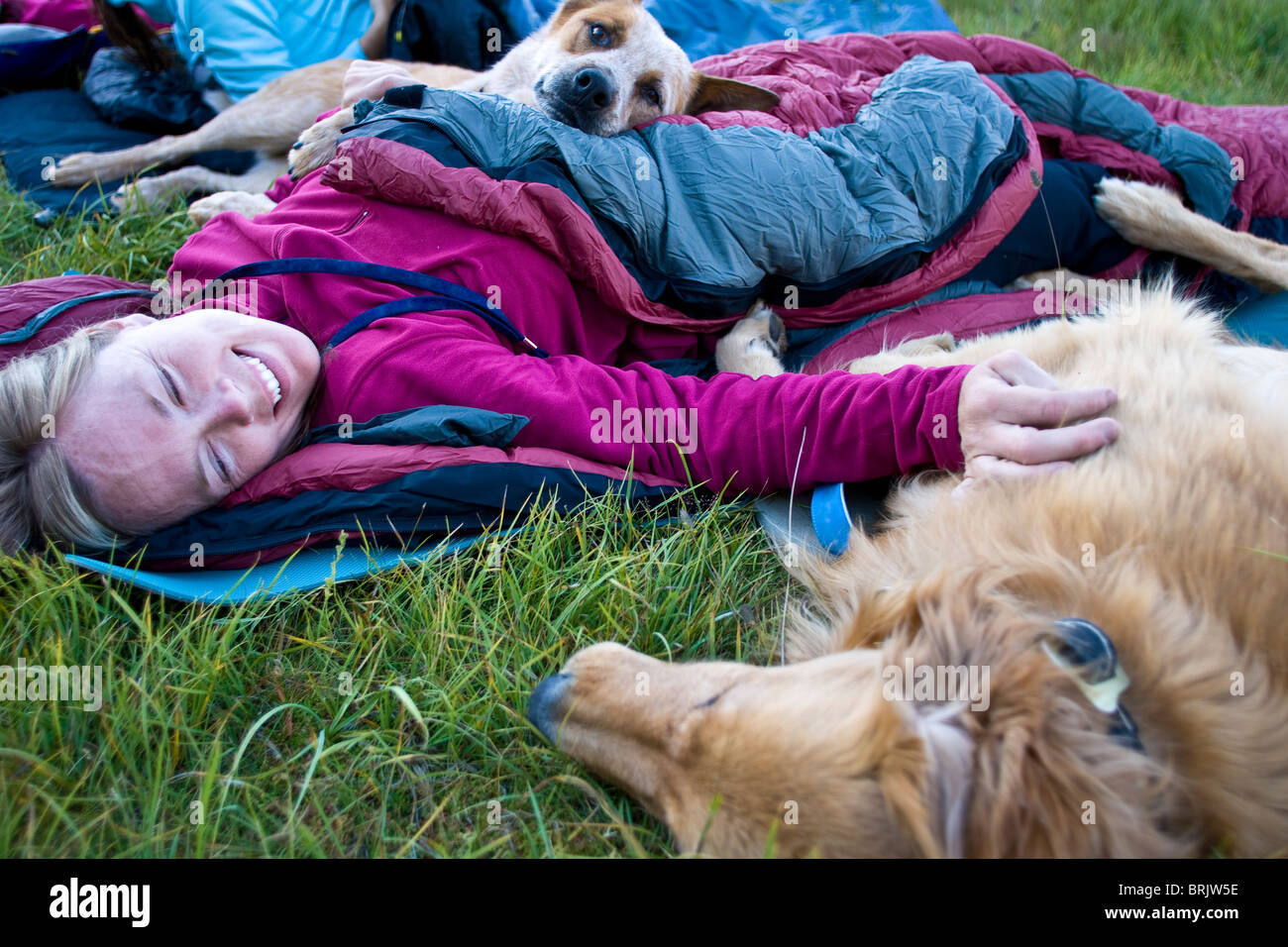 A woman curls up with her dogs during a summer sleep out. Stock Photo