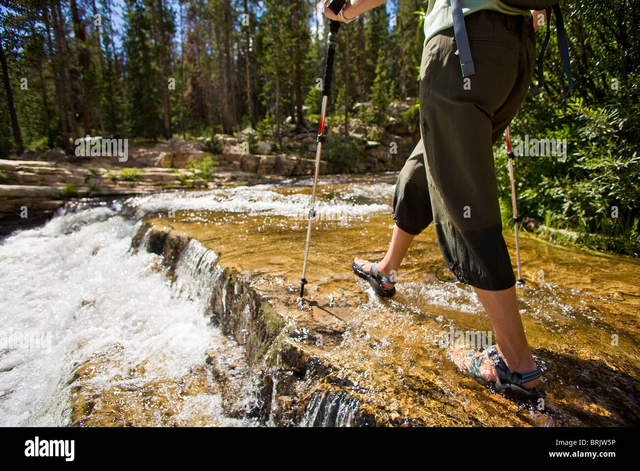 A woman wades across the Provo River in Utah's Uinta Mountains. Stock Photo