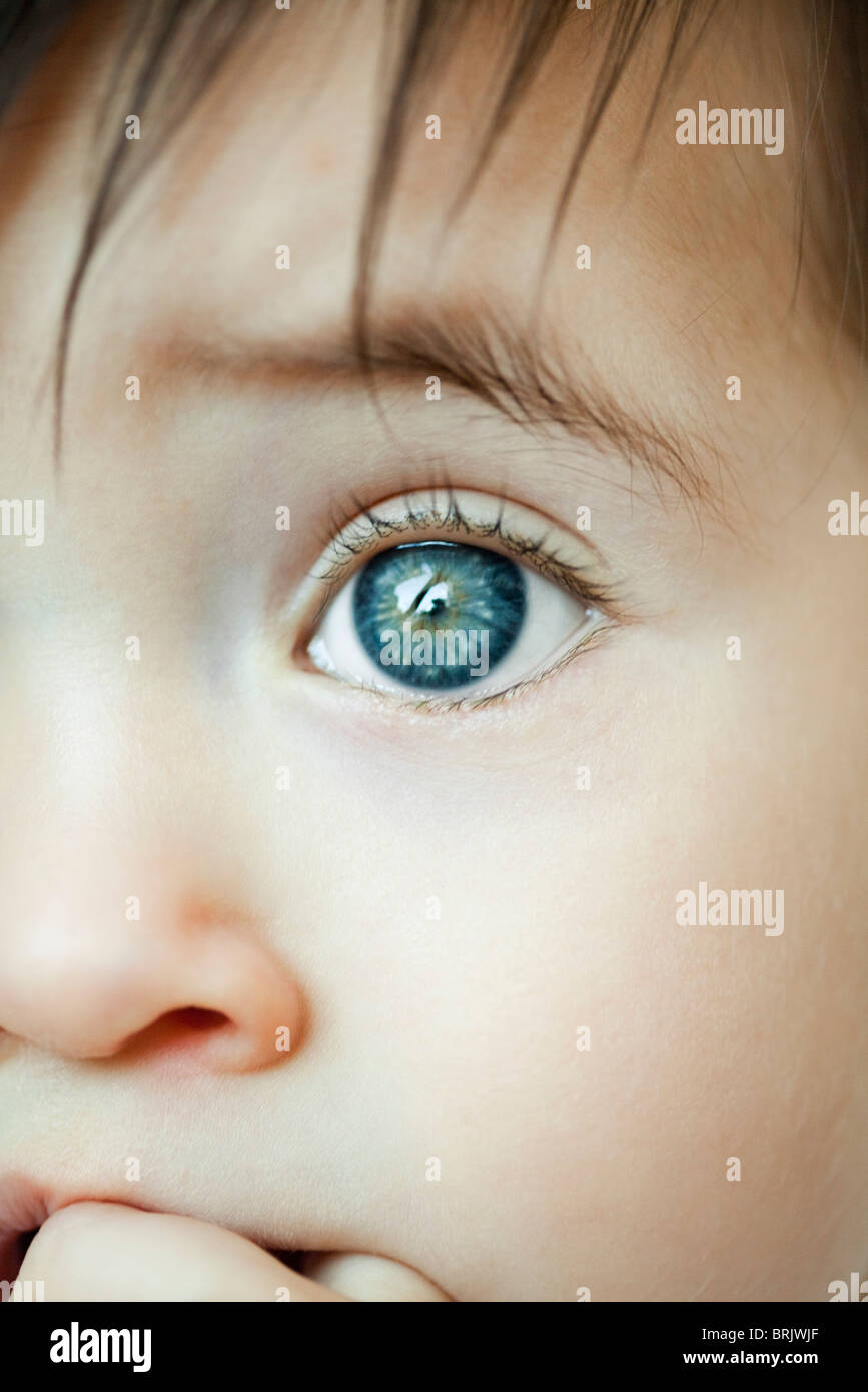 Infant's eye, closeup Stock Photo Alamy