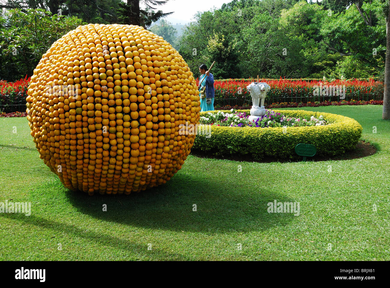 A big Lime Ball in Sim's Park Coonoor , TamilNadu Stock Photo