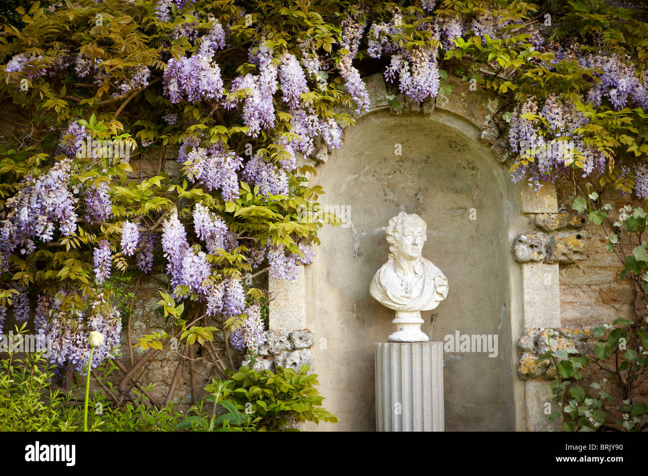 wisteria blossom statue niche Stock Photo