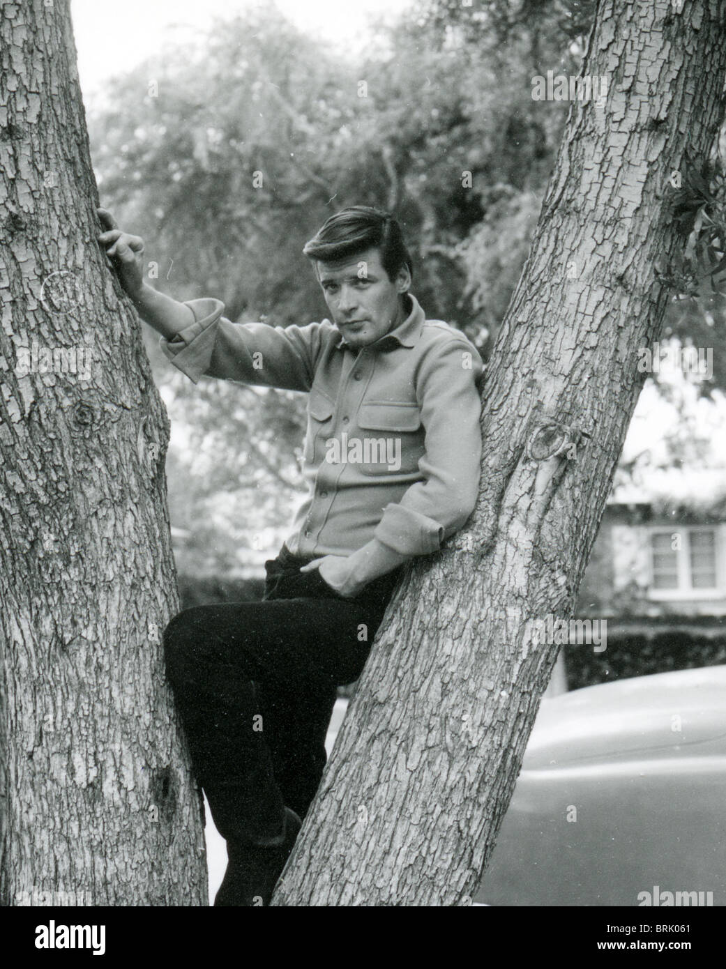 Peter Breck Peter Breck