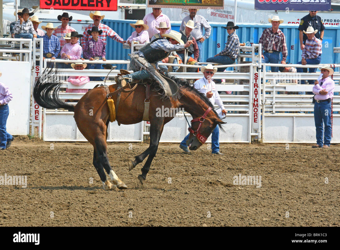 Rodeo , Alberta, Canada Stock Photo Alamy