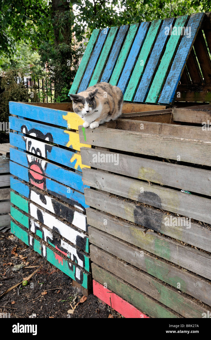 Cat sitting on colourful compost bins, Freightliners City Farm