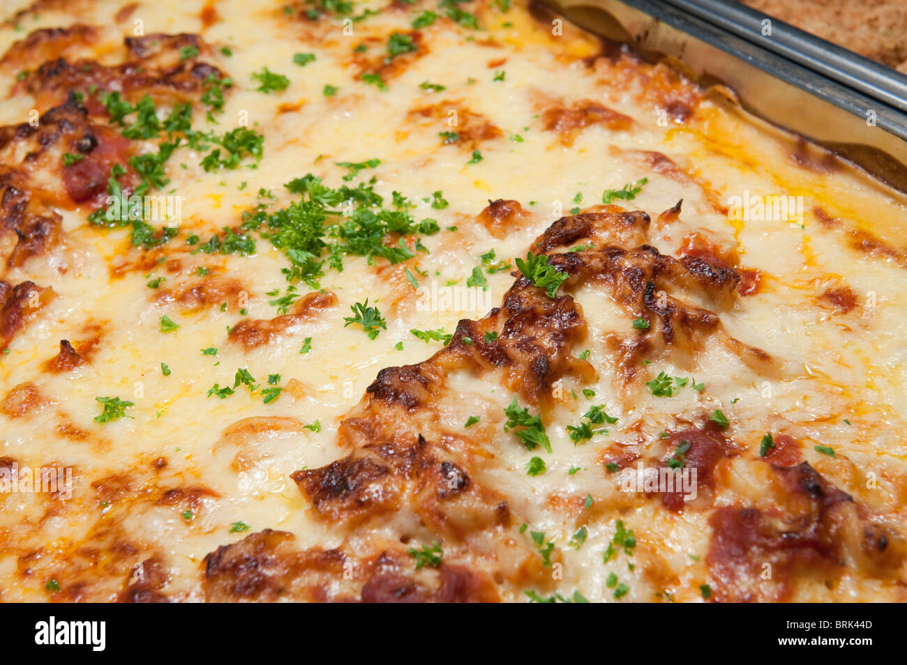 Herbs and melted cheese on top of a cooked lasagne in a canteen Stock
