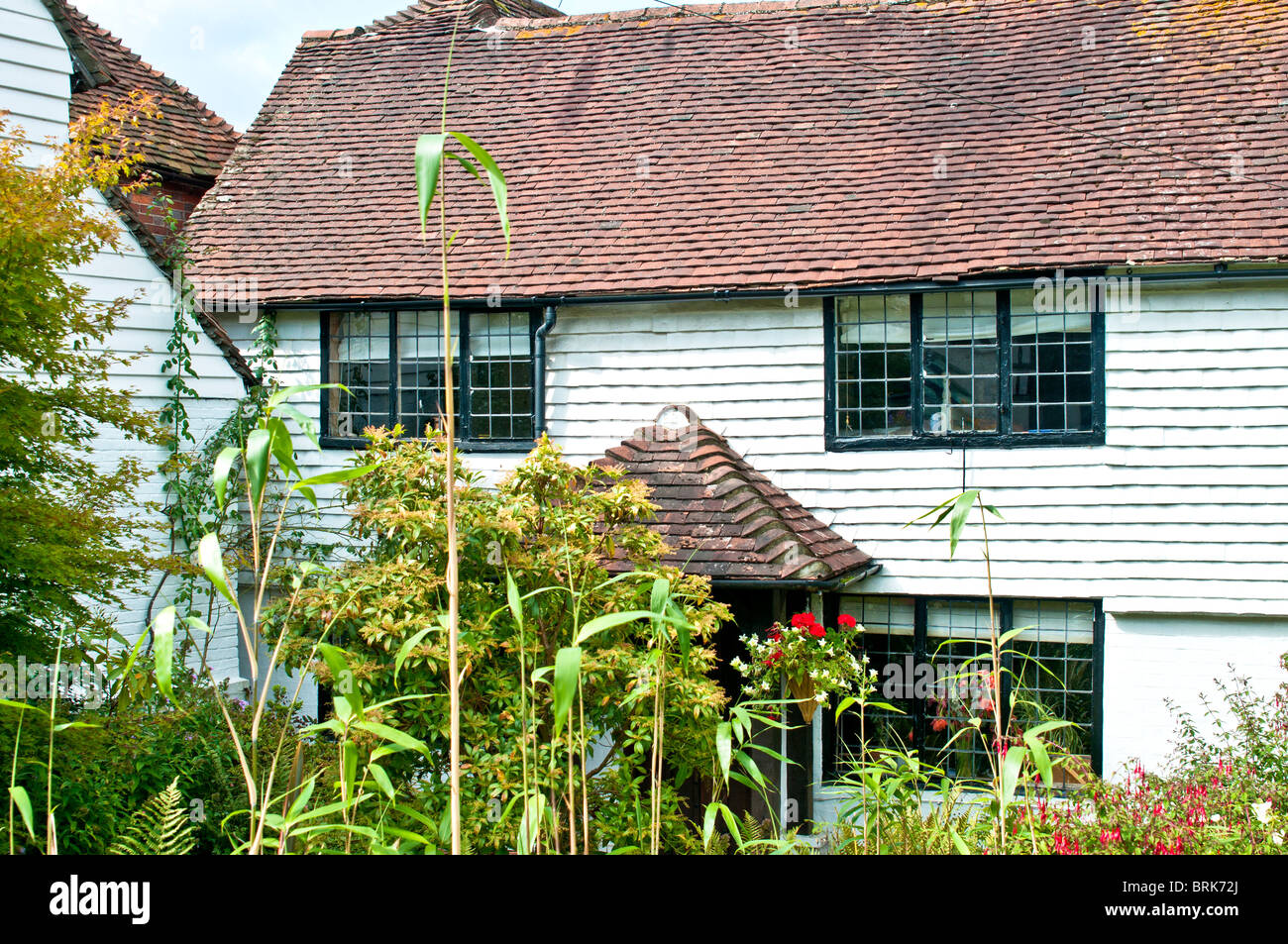 Ashdown Forest Pooh Stock Photos Ashdown Forest Pooh Stock