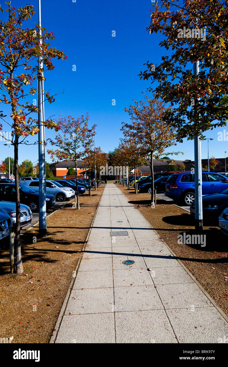 Tree lined path NHS car park Stock Photo