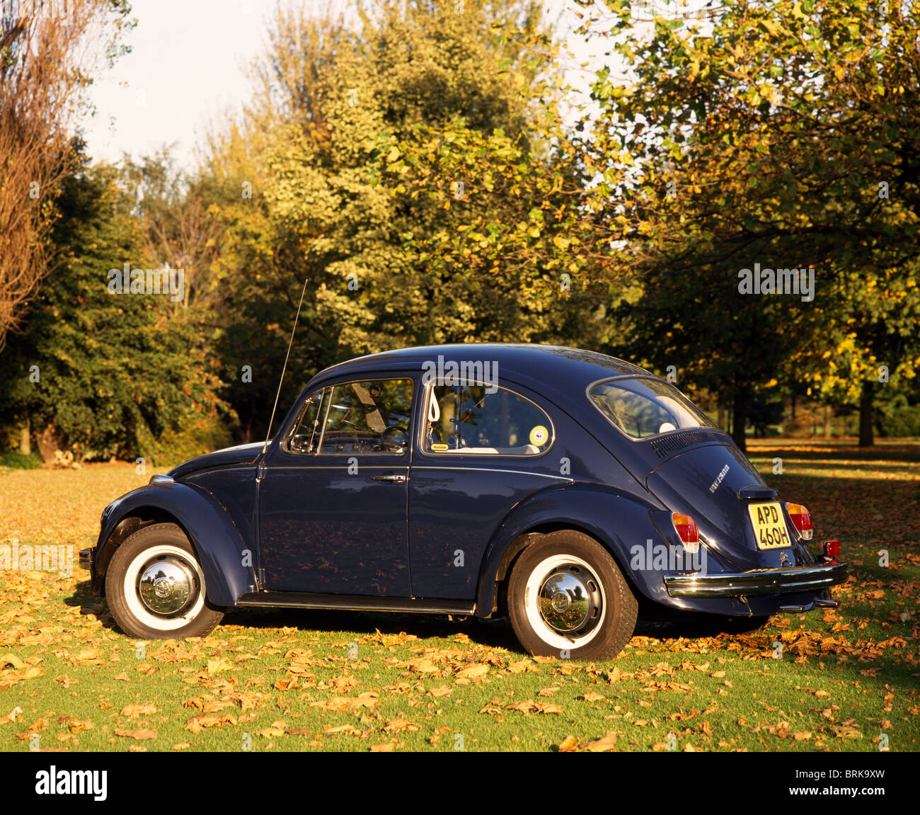 1967 Volkswagen Beetle 1300 parked in countryside Stock Photo