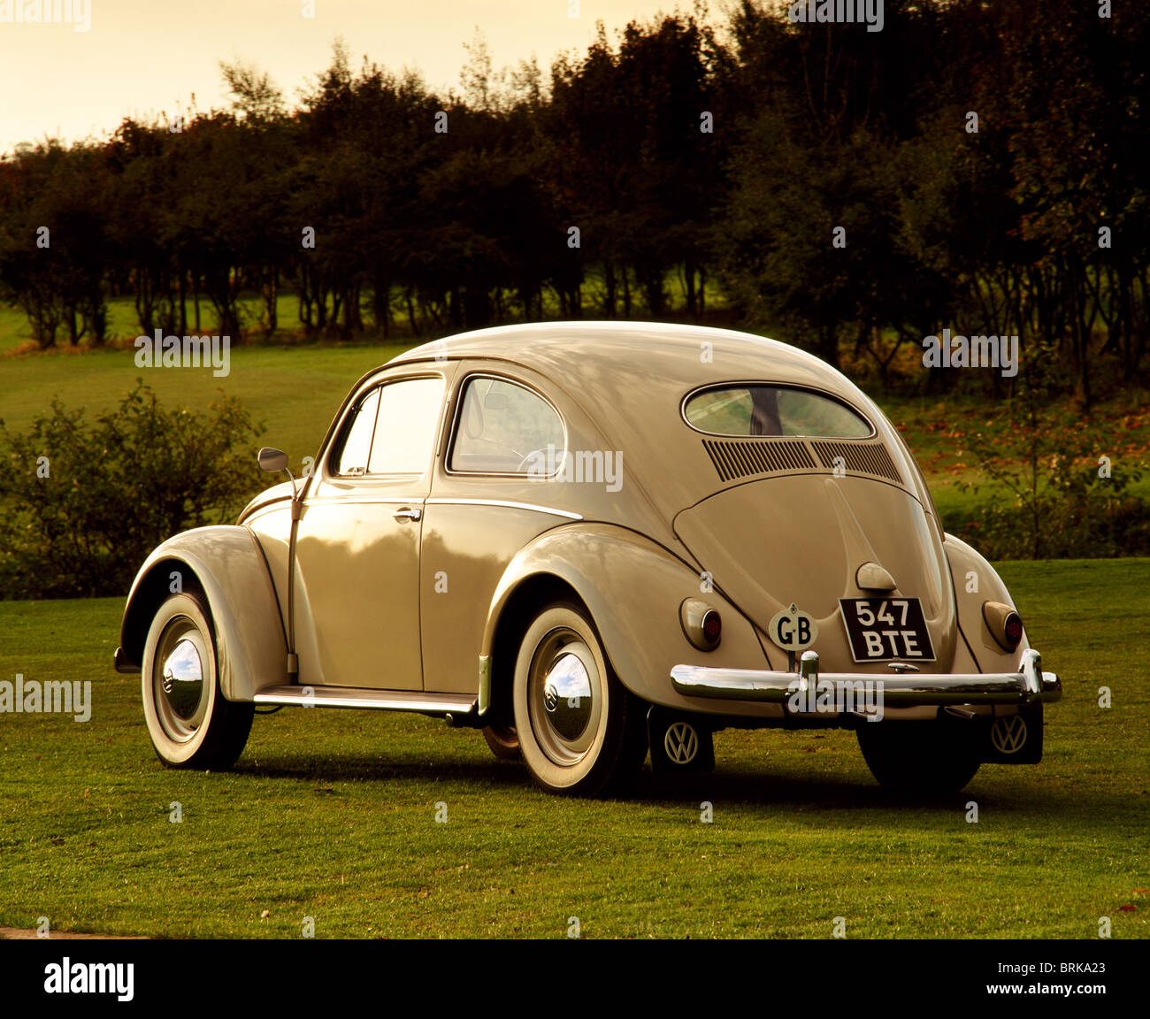 1956 Volkswagen Beetle parked in countryside Stock Photo