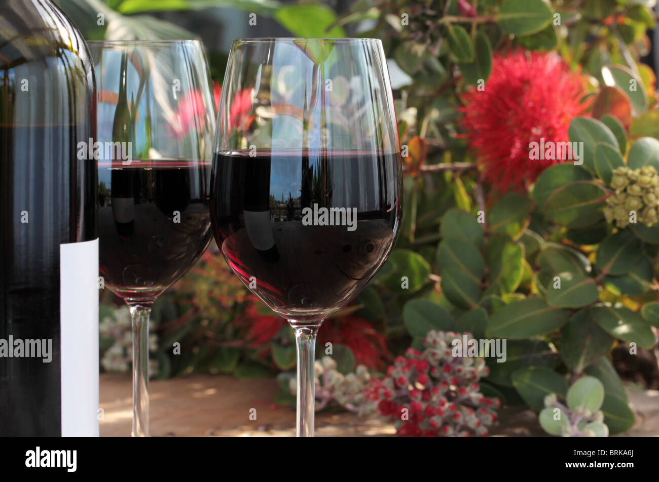 Bottle & Glasses of Red Wine on Outdoor Table with Pohutukawa Flowers Stock Photo