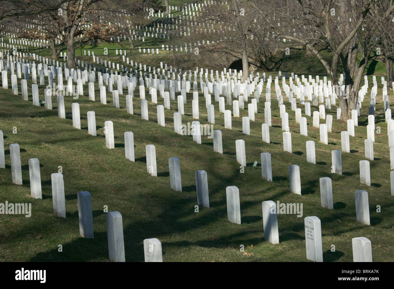 Rows of white grave stones fade into the distance in Arlington National Cemetery, Arlington, VA Stock Photo