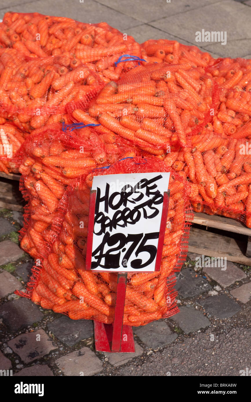 Sacks of Horse Carrots Stock Photo - Alamy Sacks of Horse Carrots Stock Photo - Alamy