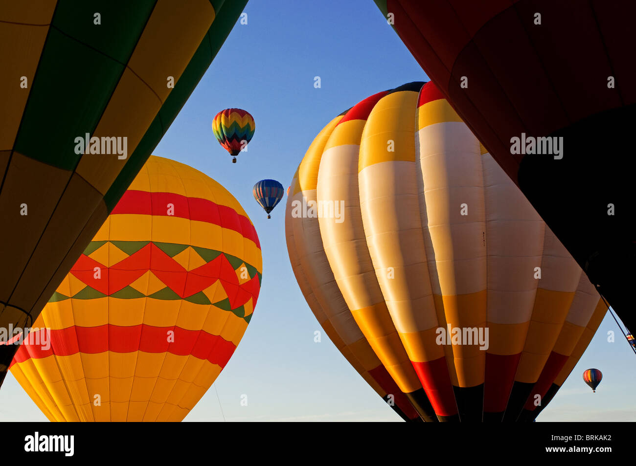 Hot air balloons at Albuquerque New Mexico balloon fiesta festival USA, US Stock Photo