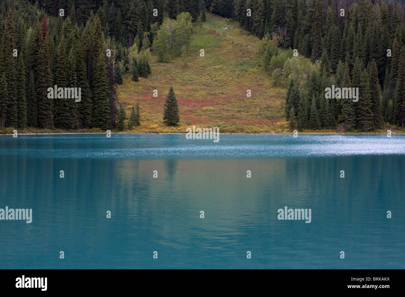 Crystal lake alberta canada hi-res stock photography and images - Alamy