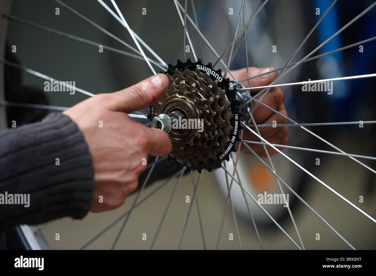 Close-up of a bicycle factory worker installing a Shimano rear wheel hub on a bike Stock Photo