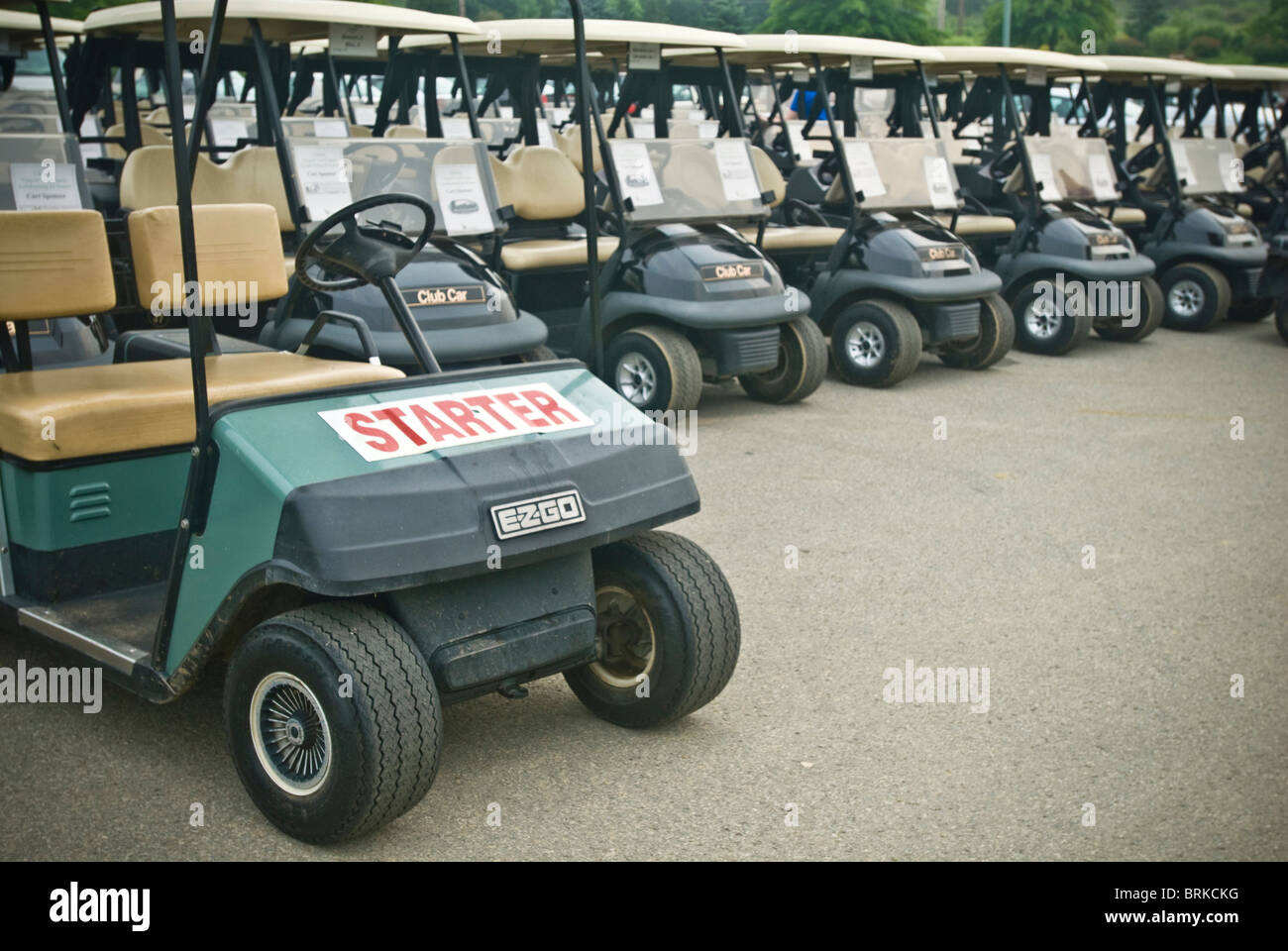 Golf carts, starter cart Stock Photo Alamy