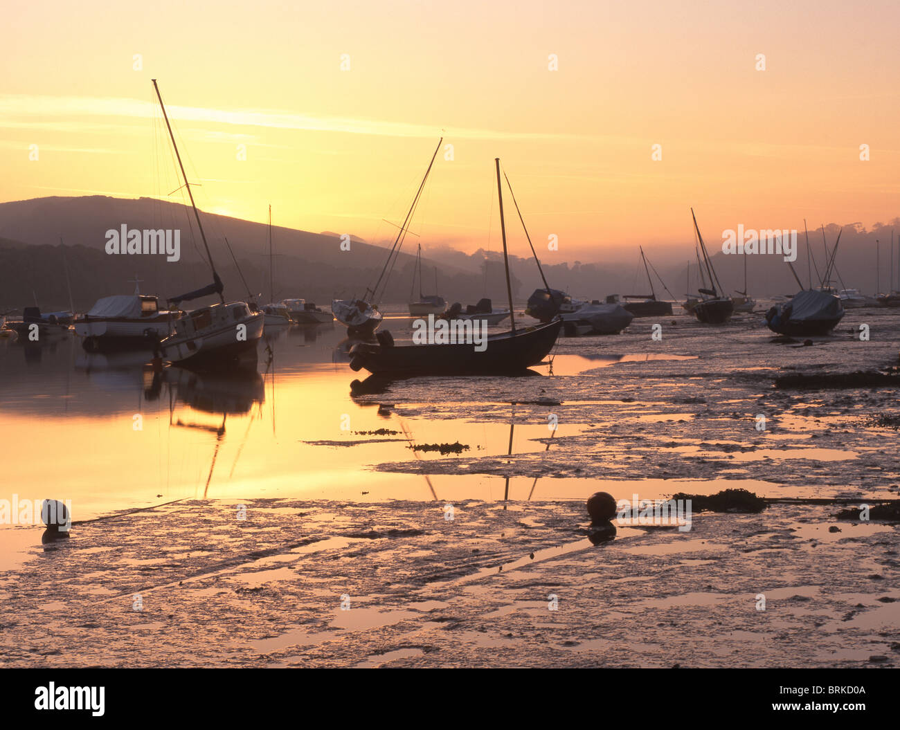 Yachts at low tide in a devon estuary at dawn Stock Photo