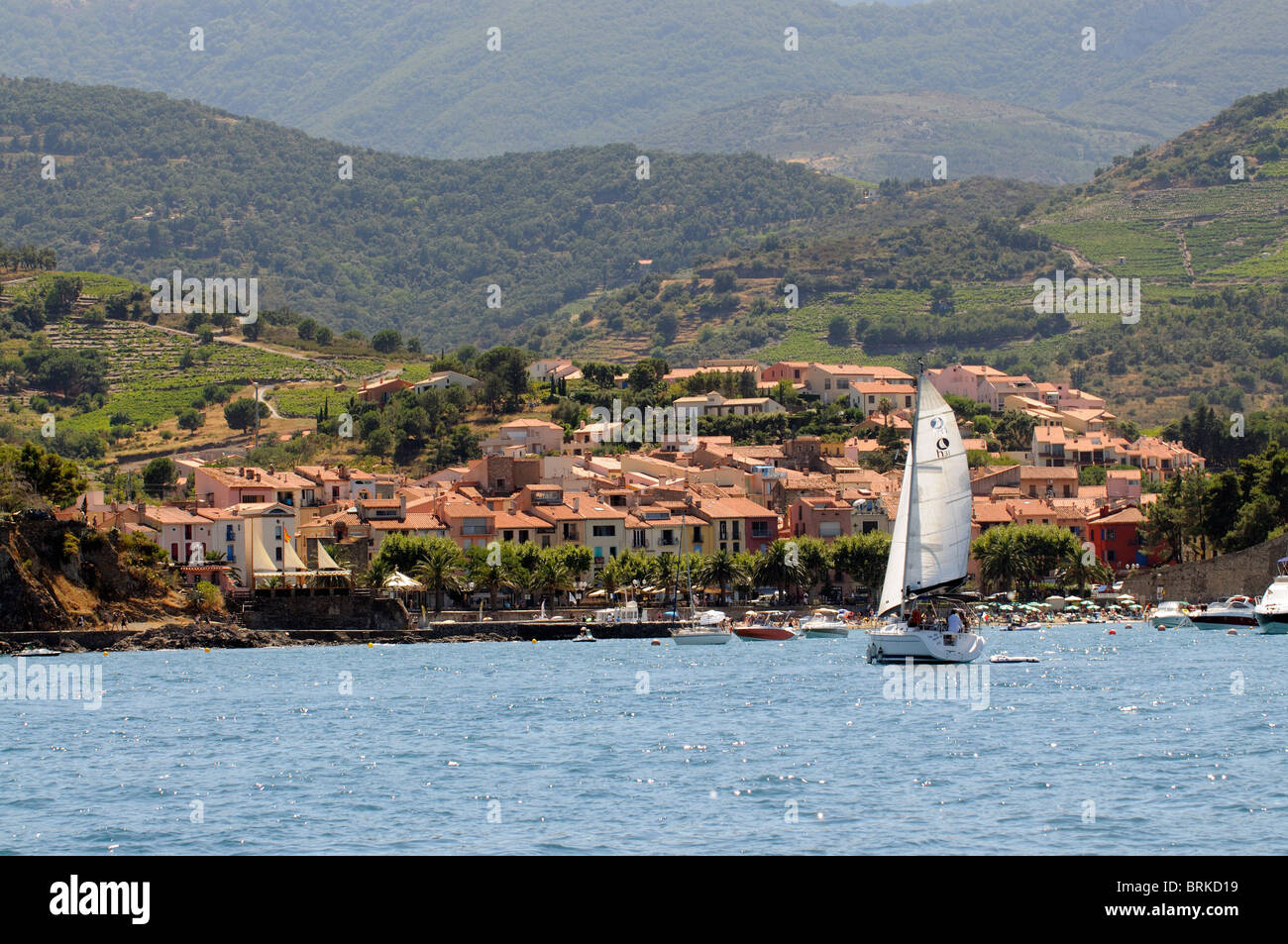 Hunter region hires stock photography and images Alamy