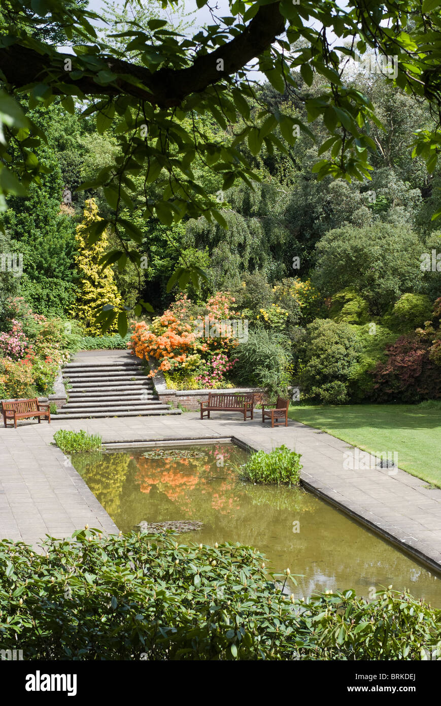 The Hill Garden, lily pond Hampstead Heath London Stock Photo