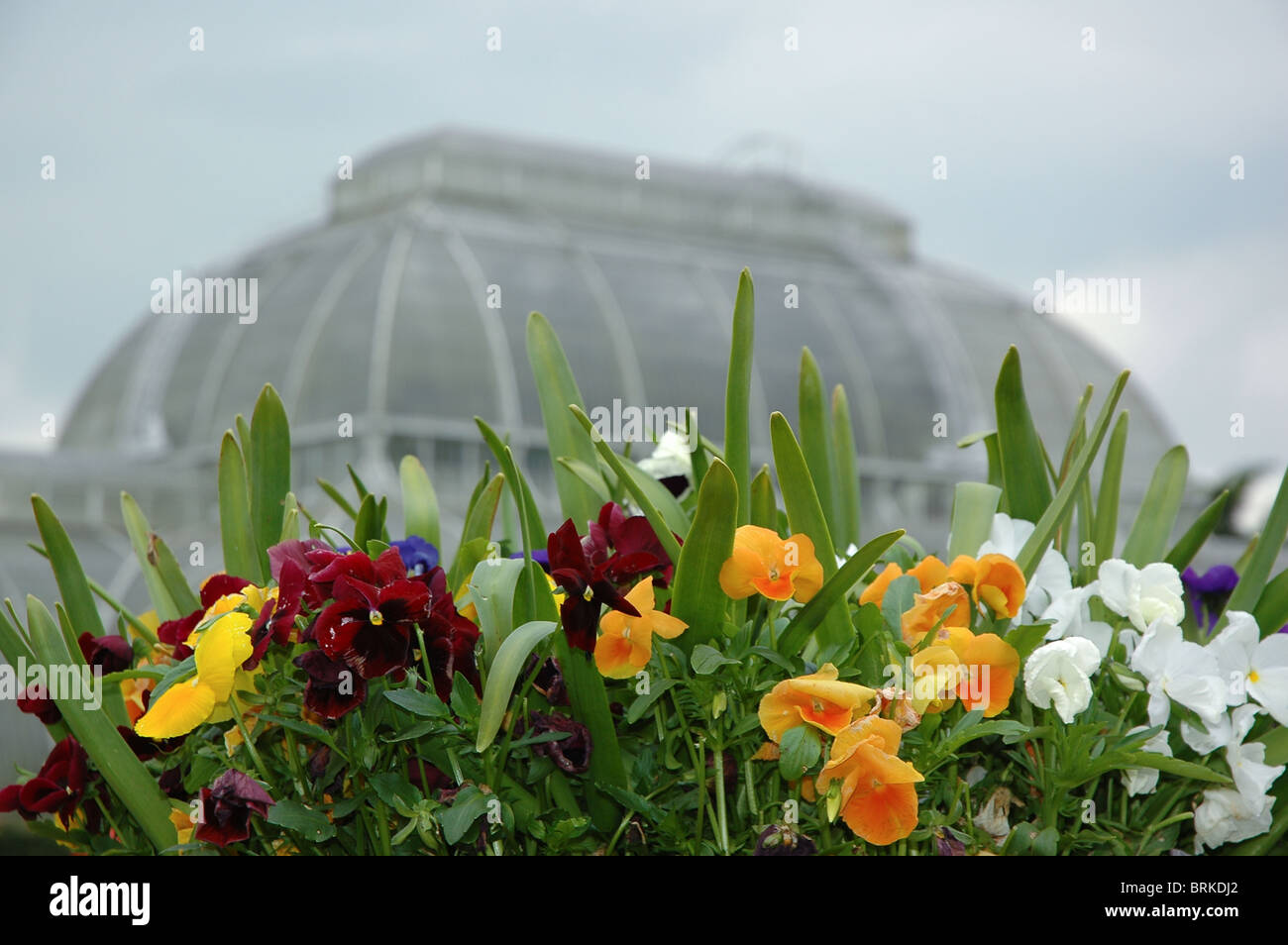 Royal Botanic Gardens at Kew Stock Photo